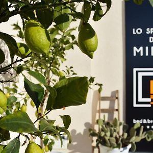 Lo spazio di Mima